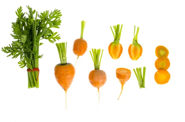 Just harvested Round romeo carrots, isolated on white background. — Stock Photo, Image