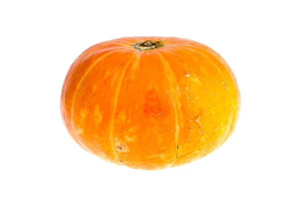 Pequena abóbora laranja isolada no fundo branco . — Fotografia de Stock