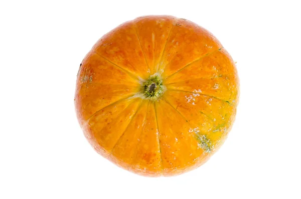 Μικρή πορτοκαλί κολοκύθα που απομονώνονται σε λευκό φόντο. — Φωτογραφία Αρχείου