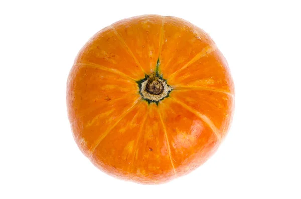 Kleine oranje pompoen geïsoleerd op witte achtergrond. — Stockfoto