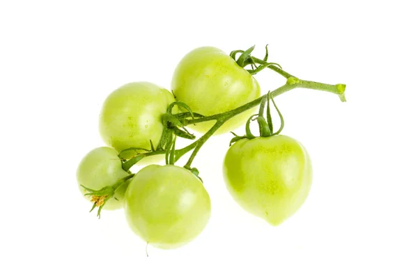 Tomates vertes non mûres sur branche isolée sur blanc . — Photo