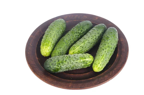 Fresh green cucumbers on ceramic bowl. Photo — Stock Photo, Image