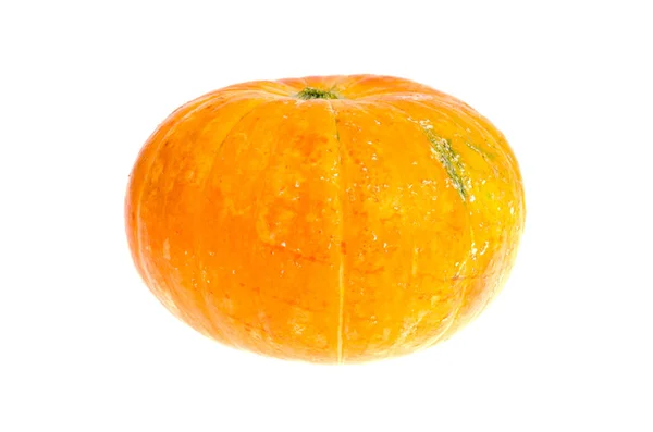 Pequeña calabaza naranja aislada sobre fondo blanco . —  Fotos de Stock