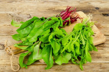 Bir demet taze bahçe Genç yeşiller