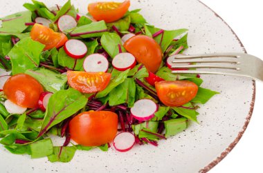 Sağlıklı beslenme. Pancar yaprağı, turp ve vişneli domates salatası. Stüdyo Fotoğrafı