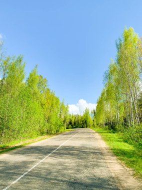 Güneşli bir günde ağaçların arasında yeşil yapraklı yol. Stüdyo Fotoğrafı