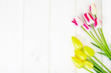Taze bahçe, beyaz ahşap masada çok renkli laleler. Stüdyo Fotoğrafı