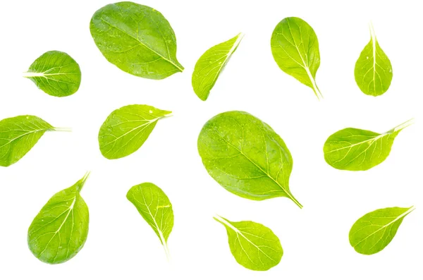 Hojas Espinacas Verdes Aisladas Sobre Fondo Blanco Estudio Foto — Foto de Stock