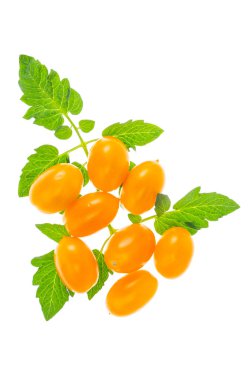 Beyaz arka planda oval sarı domatesler. Fotoğraf.