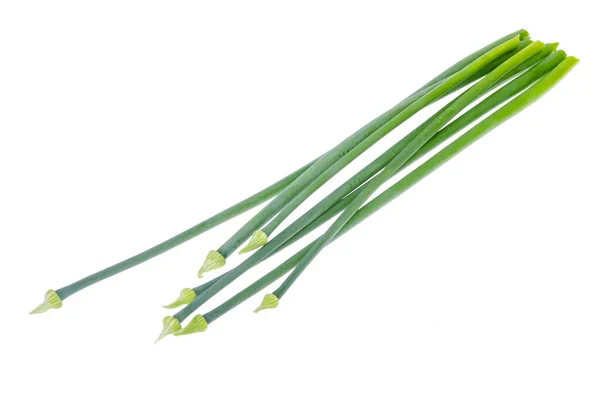 Flechas de cebolla verde cortadas frescas aisladas en blanco —  Fotos de Stock
