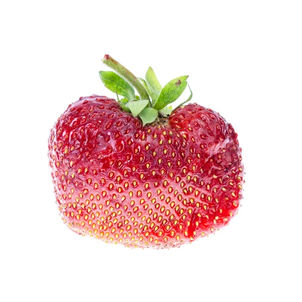 Um grande morango vermelho maduro fatiado isolado no fundo branco — Fotografia de Stock