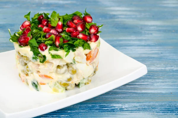 Served salad decorated with greens and pomegranate seeds. Studio Photo