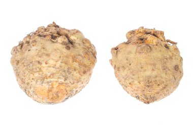 Beyaz arka planda izole edilmiş taze kereviz kökü. Stüdyo Fotoğrafı