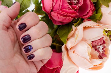 Tırnakları boyalı, manikürlü, ojeli yetişkin bir kadının eli. Stüdyo Fotoğrafı