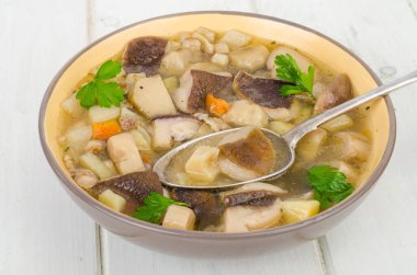 Ahşap masada bir kase yenilebilir porcini mantar çorbası. Stüdyo Fotoğrafı