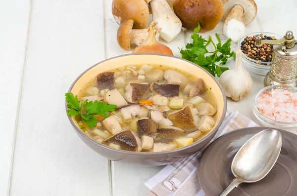 Bowl of forest edible porcini mushroom soup on wooden table. Studio Photo — Stock Image Bowl Forest Edible Porcini Mushroom Soup Wooden Table Studio Photo Stock Picture