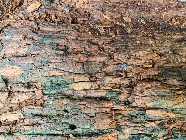 Tło Tekstura Starej Gnijącej Zniszczonej Drewnianej Powierzchni — Zdjęcie stockowe