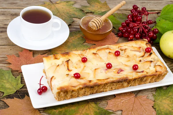 Herbst Apfelkuchen Mit Viburnum Beeren Auf Holzuntergrund Studioaufnahme — Stockfoto