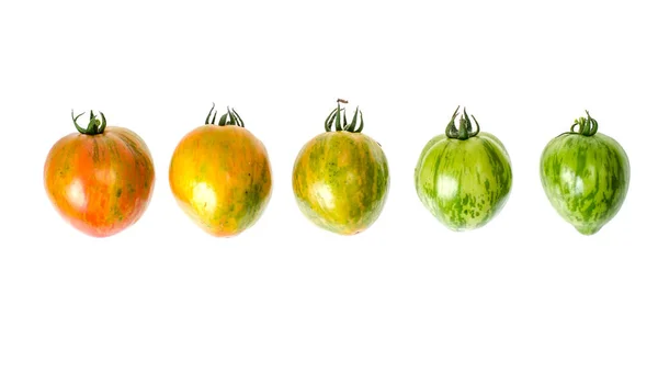 Grüne Und Reife Tomaten Mit Gestreifter Hautfarbe Studioaufnahme — Stockfoto