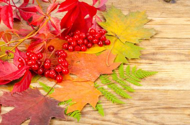 Kolaj, sonbahardan kalma parlak yapraklar ve ahşap arka planda böğürtlenler. Fotoğraf.