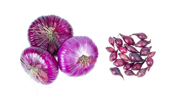 Bolbos Cebola Vermelha Pequenos Bulbos Para Plantio Fundo Branco Foto — Fotografia de Stock