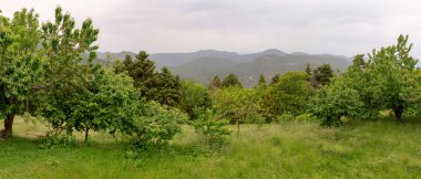 Köy Dirrakhi (Arcadia ili) görünümü ve güneşli bahar gününde (Yunanistan, Peloponessus, dağlar Taygetos dağlar)