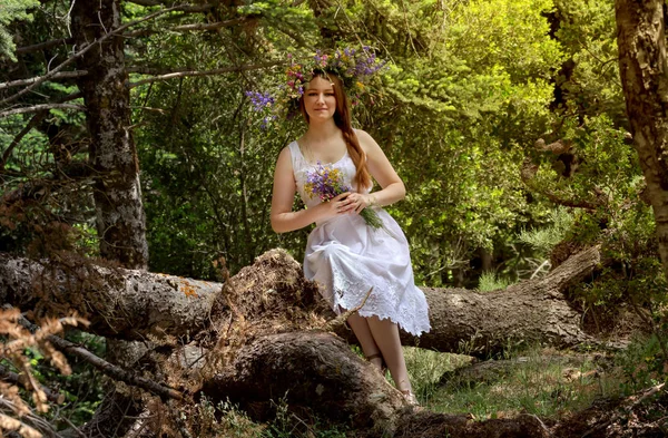 Joven Hermosa Mujer Con Una Corona Flores Silvestres Cabeza Sienta —  Fotos de Stock