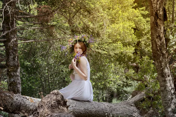 Ung Vacker Kvinna Med Krans Blommor Huvudet Sitter Fallna Träd — Stockfoto