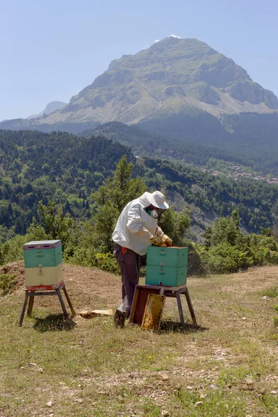 Beekeeper Takes Out Honeycomb Hive Mountains Sunny Summer Day Greece — Stock Photo, Image