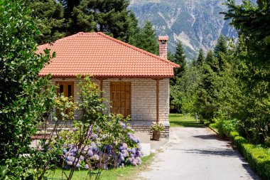 Bir yaz, güneşli günde (bölge Tzoumerka, Yunanistan, dağlar Pindos Dağları yakın çekim bir ormanda bir küçük, şirin yazlık evde).
