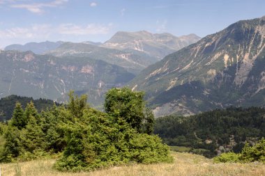 Yaz aylarında güneşli gün (bölge Tzoumerka, Epirus, Yunanistan uçurum ve dağ kenarında yetişen ardıç görünümünü)