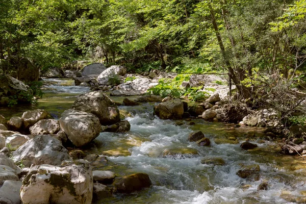 Una Montaña Río Frío Rápido Fluye Entre Grandes Rocas Día —  Fotos de Stock