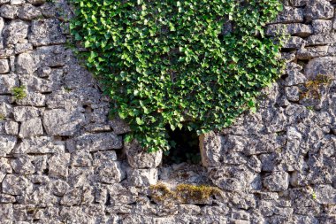 Doku, desen. Doğal taş üretim tesisi ile yapılan arka plan eski, gri duvar