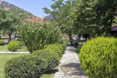 Peyzaj tasarımı. Çim, çalılar ve ağaçlar parkta bir yaz gününde (Ahaya Yunanistan Peloponnese).