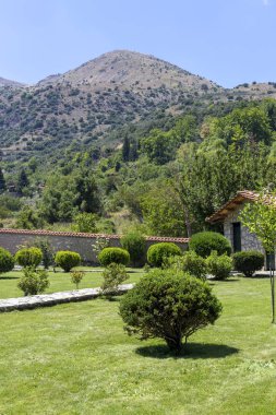 Peyzaj tasarımı. Çim, çalılar ve ağaçlar parkta bir yaz gününde (Ahaya Yunanistan Peloponnese).