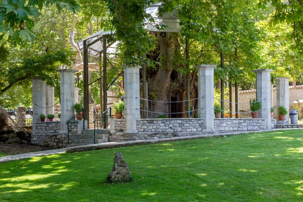 Christian Ortodoks Kilisesi Panagia Plataniotissa Içinde Kalavryta Dağlarda Büyük Çınar — Stok fotoğraf