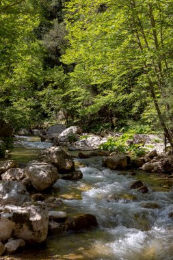 Bir dağ, soğuk, hızlı nehir akar güneşli üzerinde büyük kayalar arasında yaz günü (Yunanistan, Pindos Dağları).