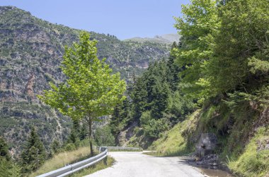 Rum köyü olan kaynak (Tzoumerka, Epirus, Yunanistan ve 1100 metre yükseklikte dağda Matsouki giden yol).