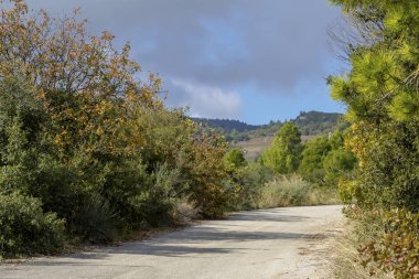 Bir dar, kırsal yol sonbahar güneşli günü (Yunanistan, Peloponnese dağlarında).