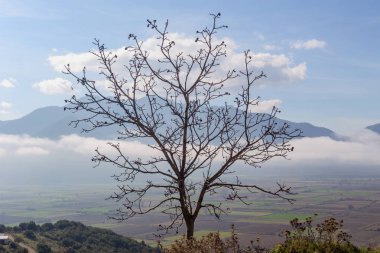 Yalnız ağaç olmadan dağlar ve sis fonunda sonbahar, bulutlu sabahleyin bırakır.