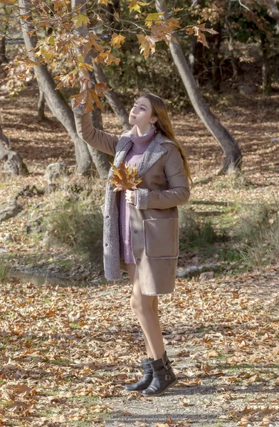 Young beautiful woman with leaves in hands against the background of the autumn forest on a sunny day close-up