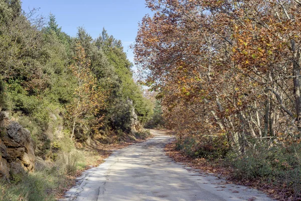 Bir dar, kırsal yol sonbahar güneşli günü (Yunanistan, Peloponnese dağlarında).