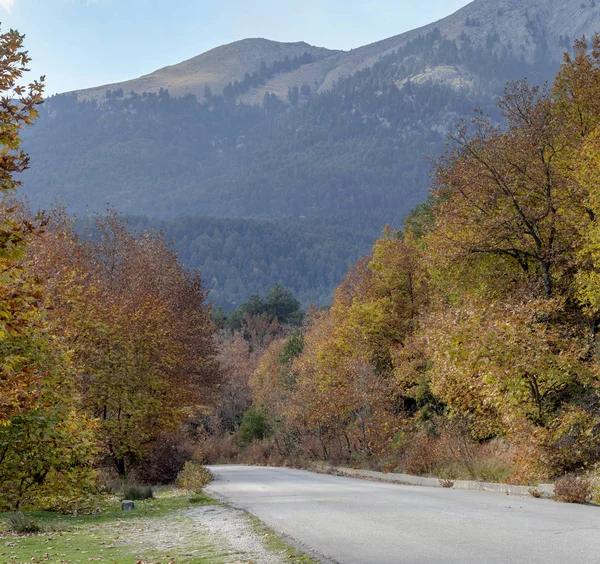 Uma Estrada Estreita Rural Nas Montanhas Dia Ensolarado Outono Greece — Fotografia de Stock