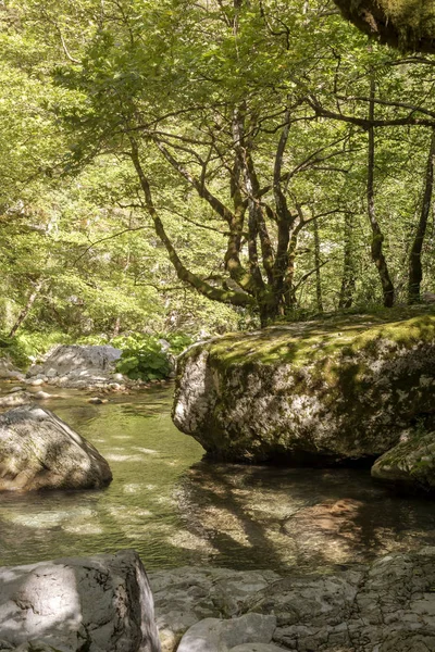 Una Montaña Río Frío Rápido Fluye Entre Grandes Rocas Día —  Fotos de Stock