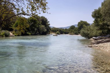 Bir dağ, soğuk, hızlı Acheron nehir akar güneşli, orman ortasında yaz günü (bölge Epirus, Yunanistan).