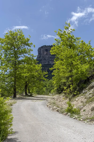 View Rural Narrow Road Mountains Sunny Summer Day Region Tzoumerka — Stock Photo, Image