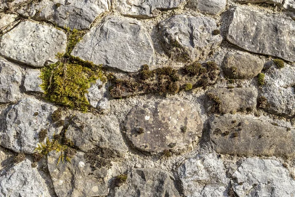 Υφή Μοτίβο Παλιά Γκρι Φόντο Τοίχο Από Φυσική Πέτρα Φυτό — Φωτογραφία Αρχείου