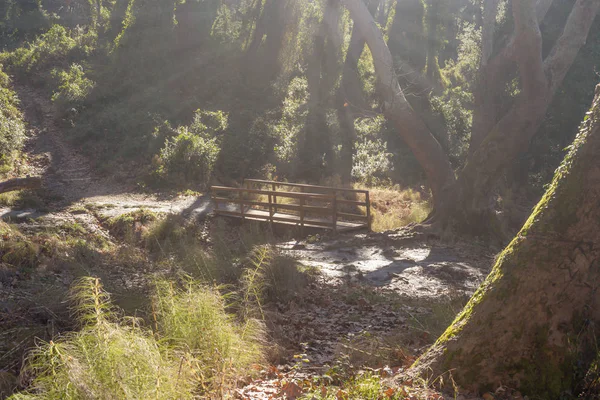 Träbro Över Liten Flod Bergen Grekland Attika Berg Parnitha — Stockfoto