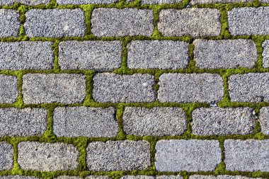 Doku, desen. Arka plan gri duvar eski doğal taş yosun ile yapılan