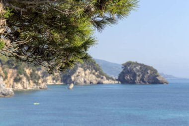 Büyük çam ağacı deniz ve dağlar fonunda yaz güneşli bir günde (Yunanistan büyür.)